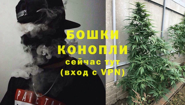 мдпв Волосово