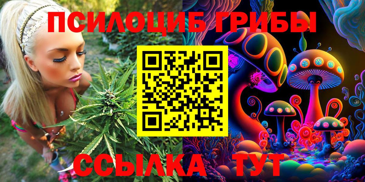 Галлюциногенные грибы Psilocybe  Галлюциногенные грибы ЛСД  Домодедово  сколько стоит  Вход с VPN 